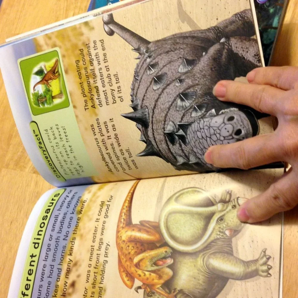 Discovery Kids Educational Booklets, Dinos, sharks, animals, adventures